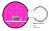 Tabletop Plasma Cleaner, Tergeo EM, for TEM and SEM Samples