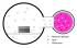 Tabletop Plasma Cleaner, Tergeo EM, for TEM and SEM Samples