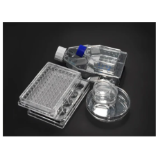 Curiosis Celloger Mini Plus Vessel Holders for Cell Imaging System