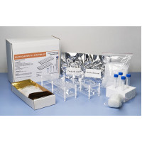 LACTOSCAN EASYCOUNTER Yeast Counter Viability Kit for 200 Tests LACTOSCAN EASYCOUNTER Yeast Counter Viability Kit for 200 Tests