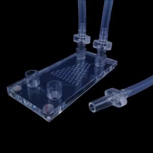 PDMS-Glass-Polycarbonate  Hybrid Microfluidic Chips
